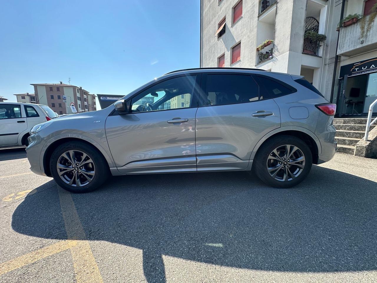 Ford Kuga ST Line 1.5 EcoBlue #6473
