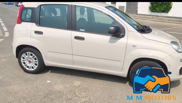 FIAT Panda 1.2 Easy *NEOPATENTATI*