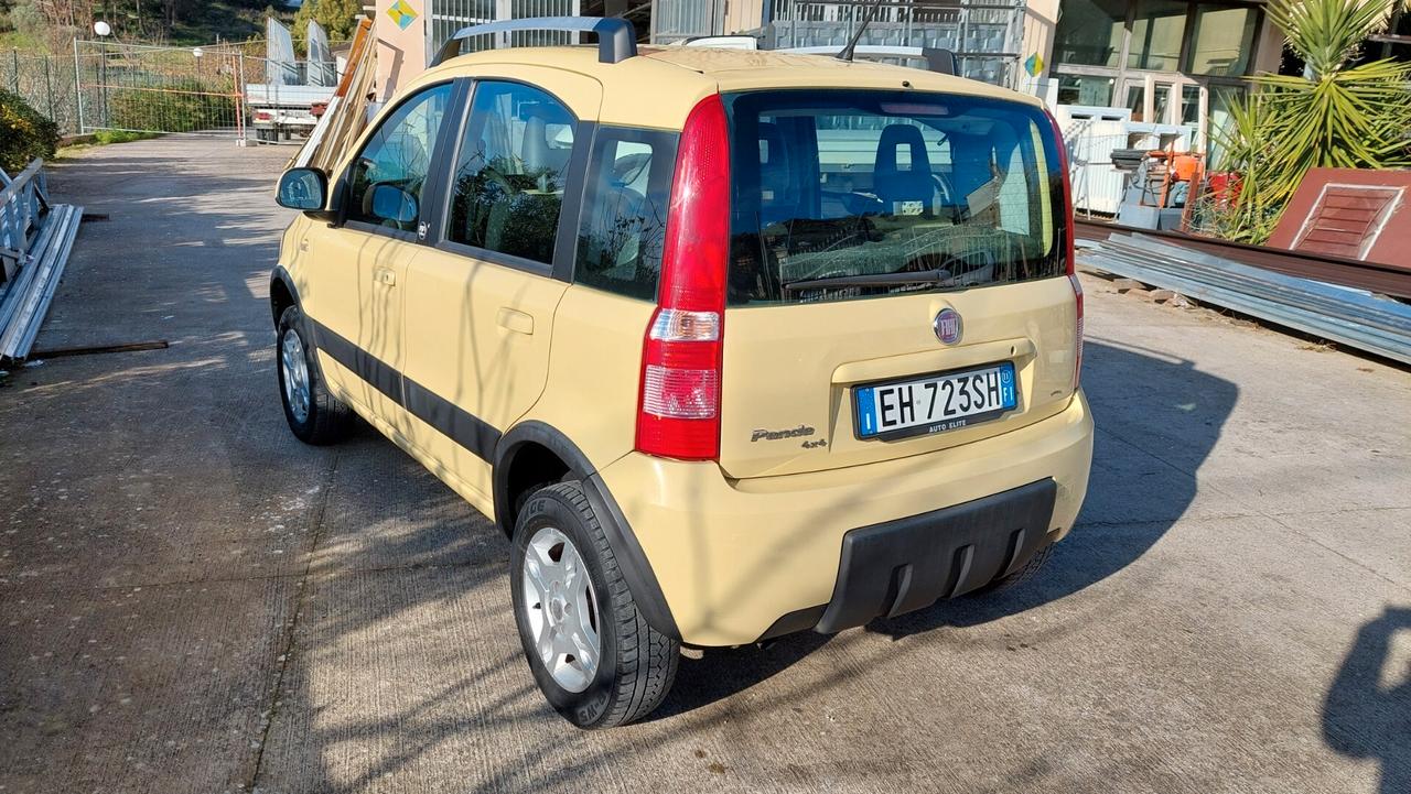 Fiat Panda 1.3 MJT 16V DPF 4x4 Climbing