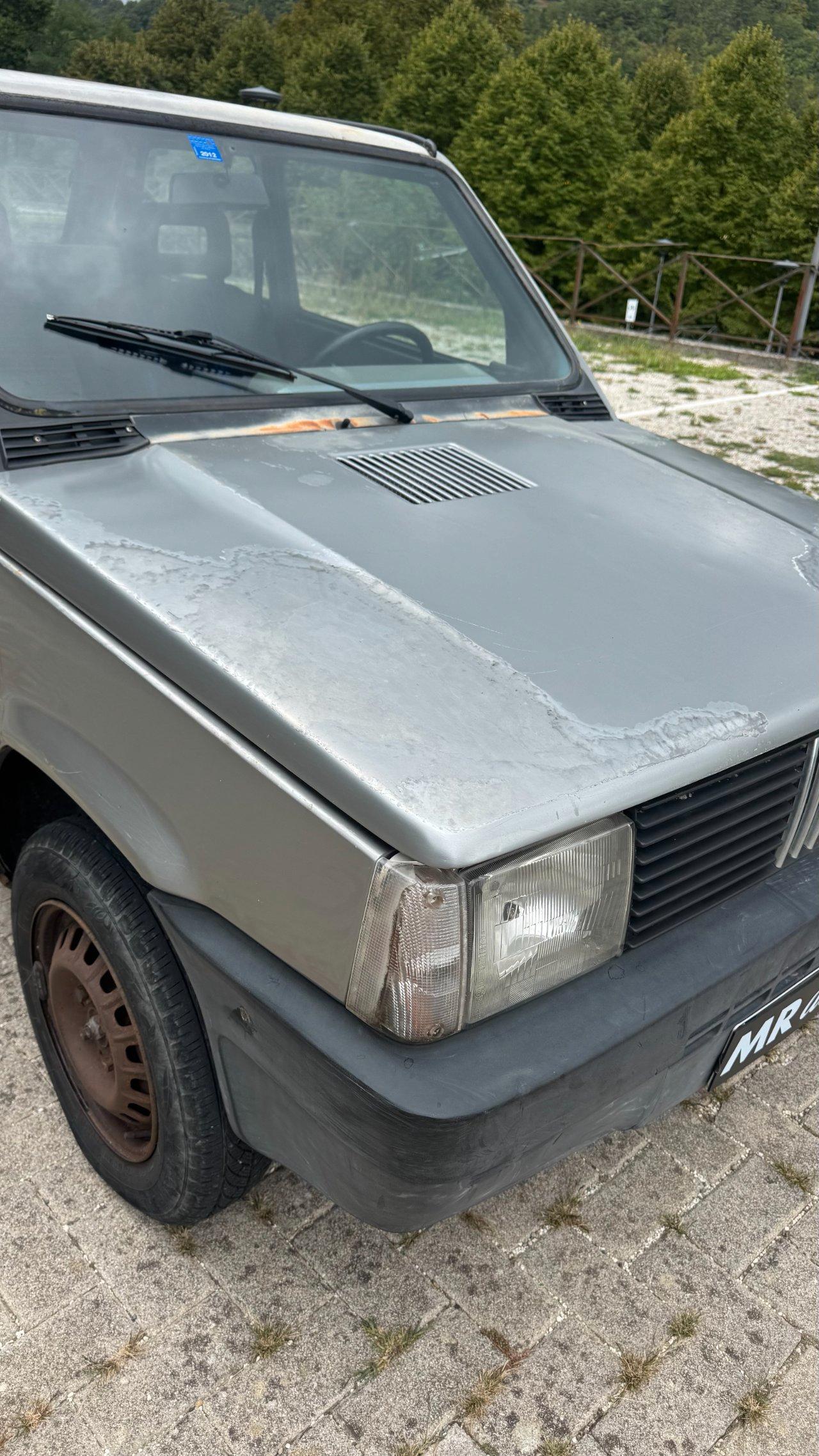 Fiat Panda 1.0 4x4 my86