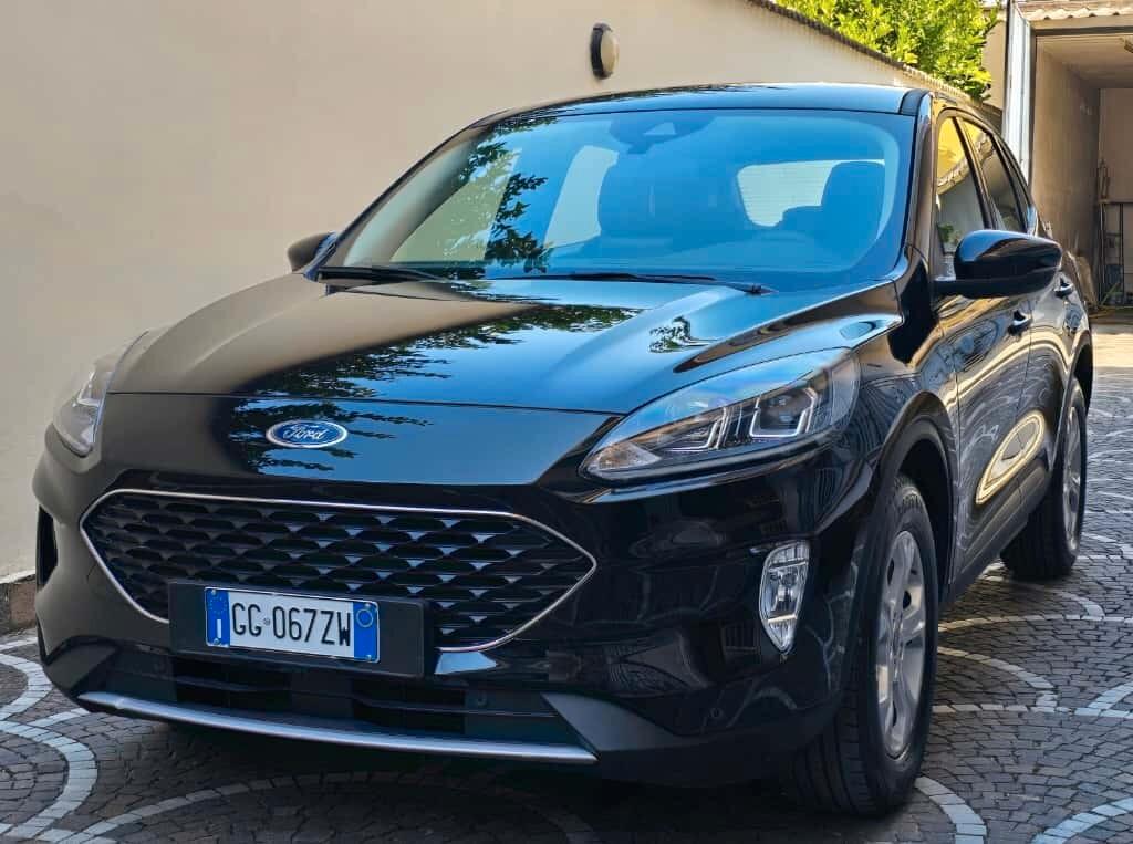 Ford Kuga 1.5 EcoBlue 120 CV aut. 2WD Titanium Business