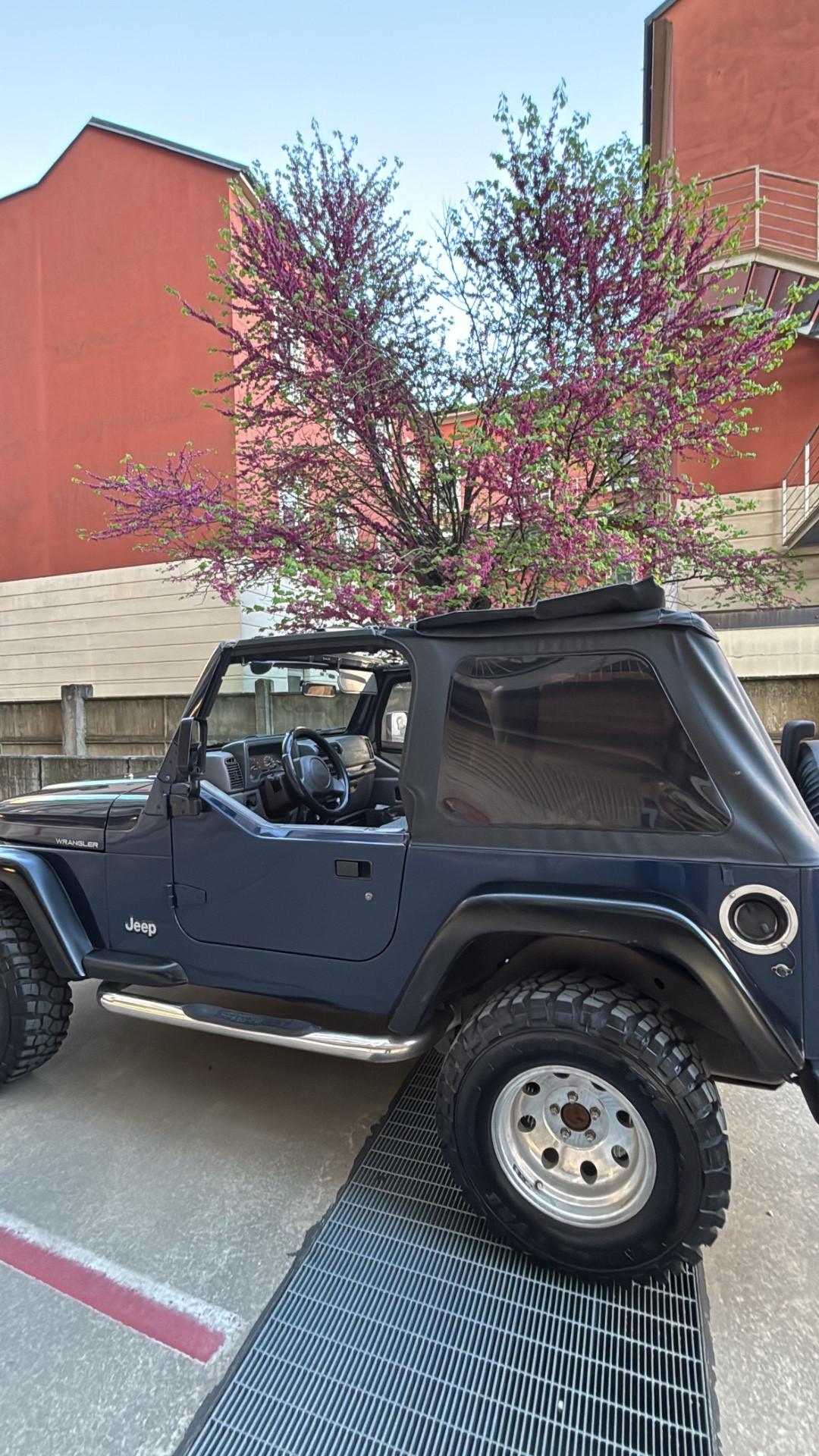 Jeep Wrangler 2.5 cat Soft top (EU)