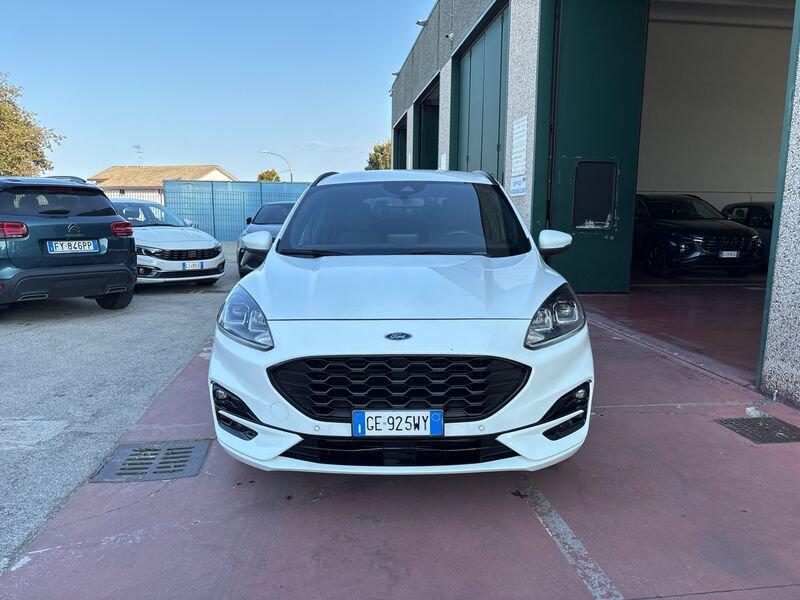 Ford Kuga Kuga 1.5 EcoBlue 120 CV aut. 2WD ST-Line