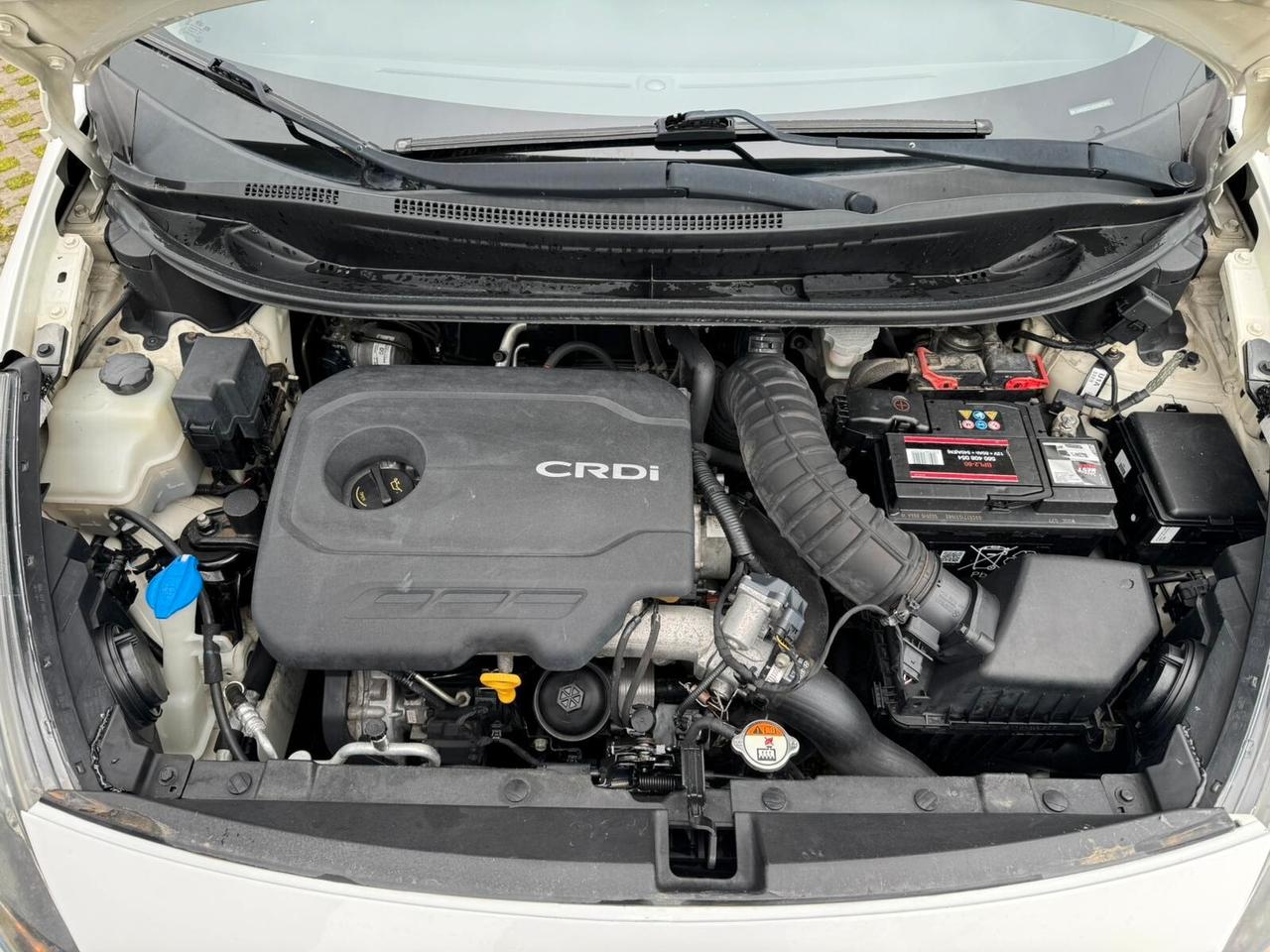 Kia Rio 1.1 CRDi 5p. Active ANNO 2014