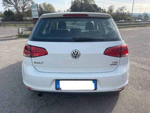 VOLKSWAGEN Golf 1.6 TDI 5p. 105CV