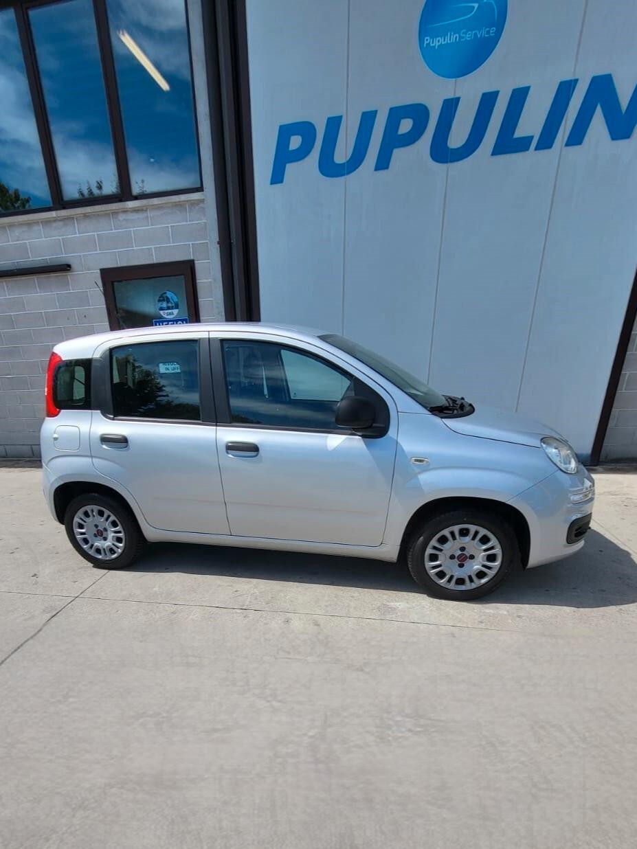 Fiat Panda 1.2 EasyPower Pandazzurri