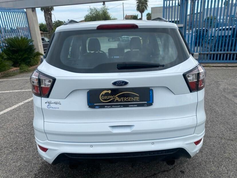 Ford Kuga 1.5 TDCI 120 CV S&S 2WD ST-Line