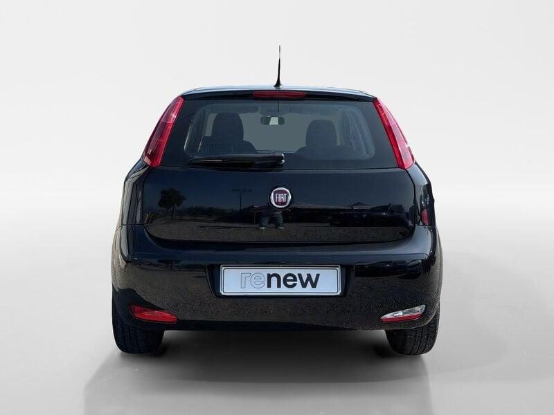 FIAT Punto Punto 1.4 8V 5 porte Easypower Street