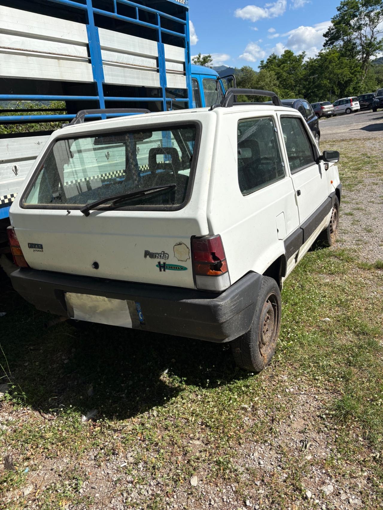 Fiat Panda 1100 i.e. cat College