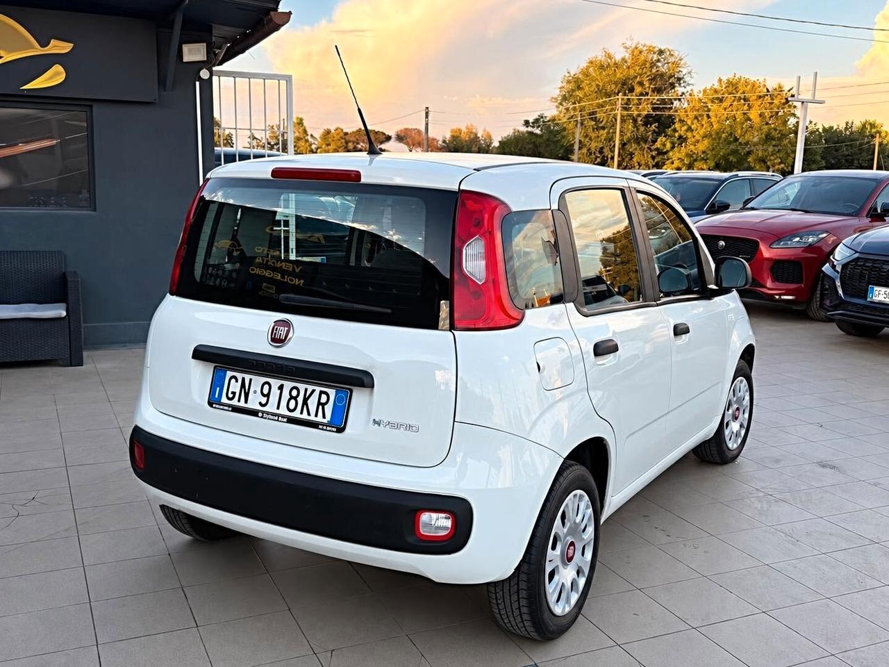 Fiat Panda 1.0 FireFly S&S Hybrid Garanzia 12 Mesi