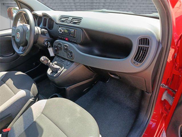 FIAT Panda 3ª serie 1.0 FireFly S&S Hybrid