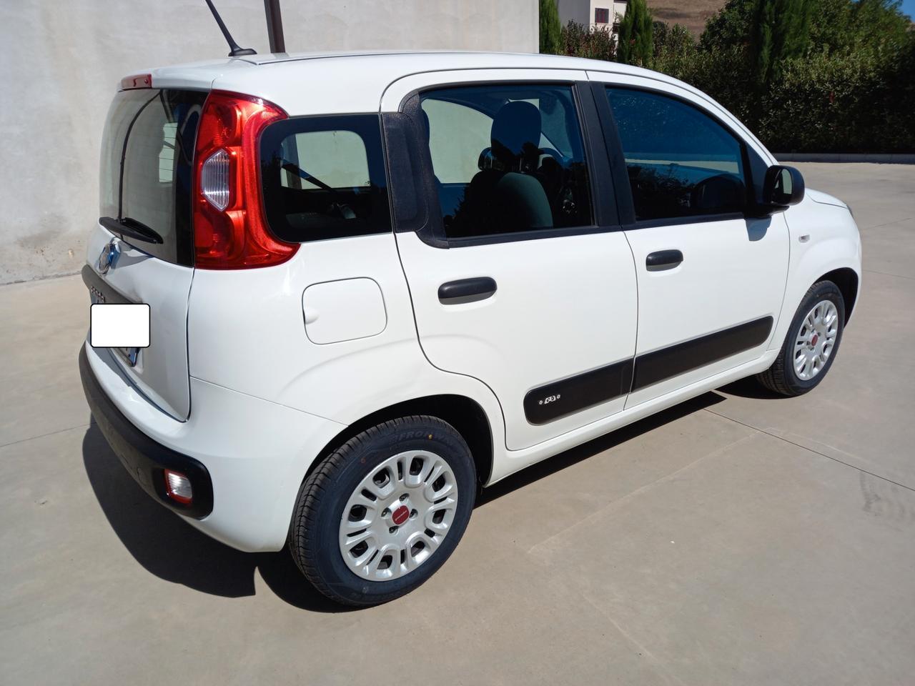 Fiat Panda 1.2 BENZ/GPL2020(IN SEDE YPSILON PANDA 4X4)