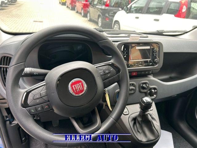 FIAT Panda PROMO FINANZIAMENTO 1.0 Hybrid Icon KM 0