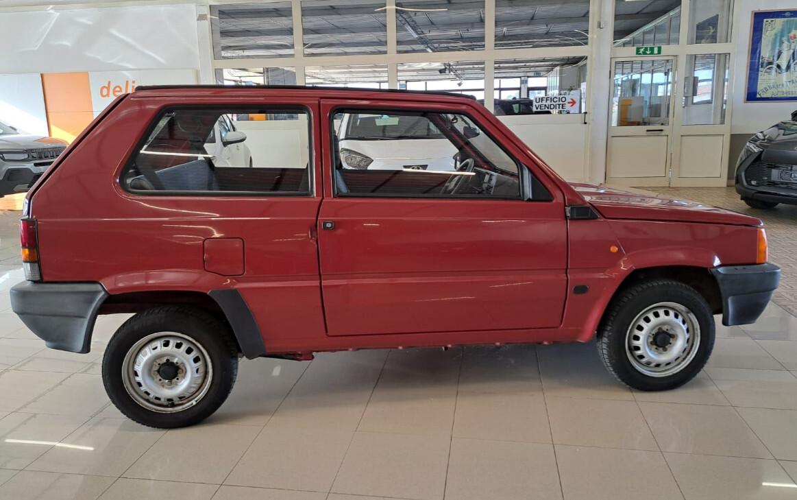 Fiat Panda 1100 i.e. cat Young