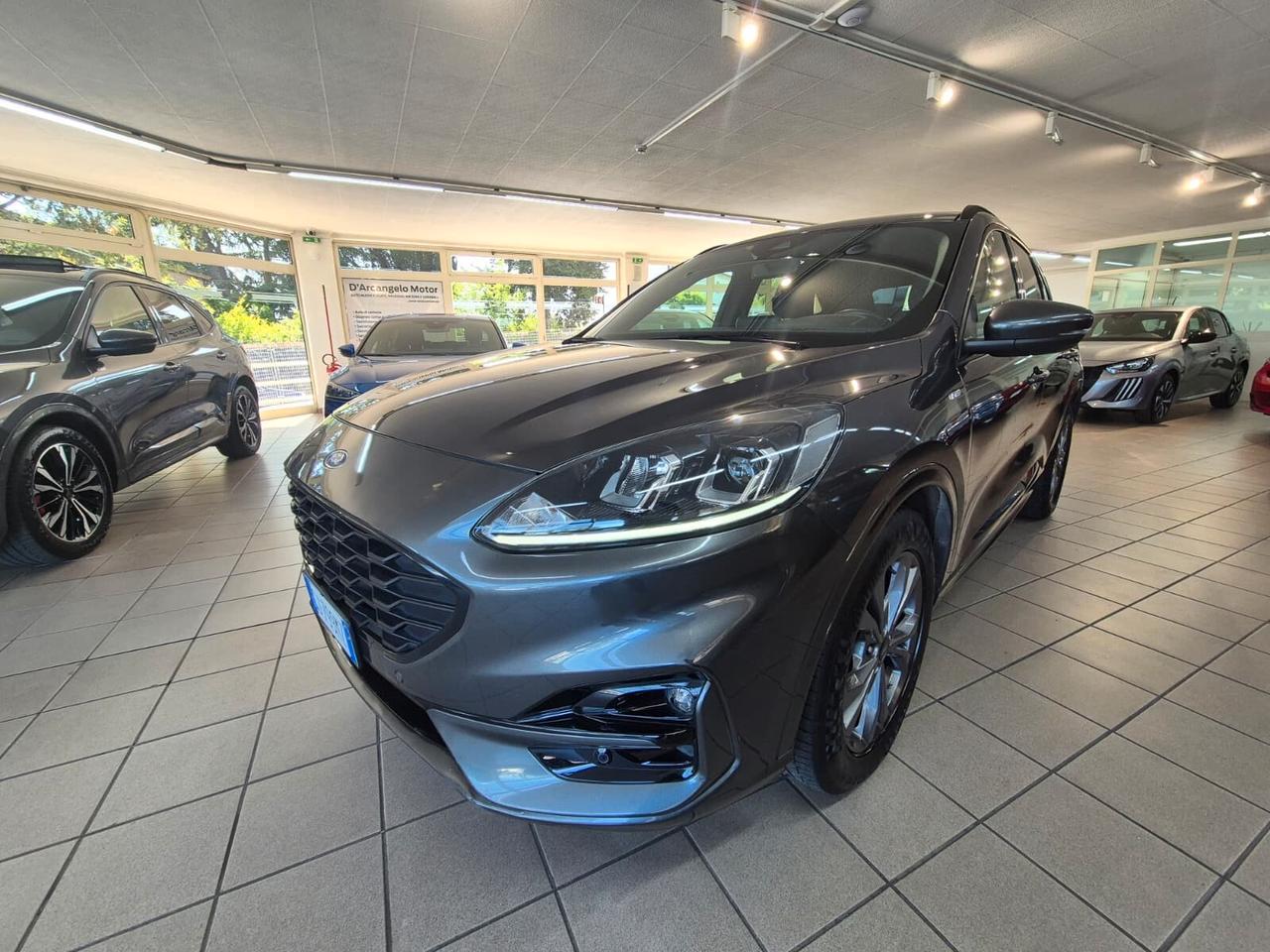 Ford Kuga 1.5 EcoBlue 120 CV 2WD ST-Line