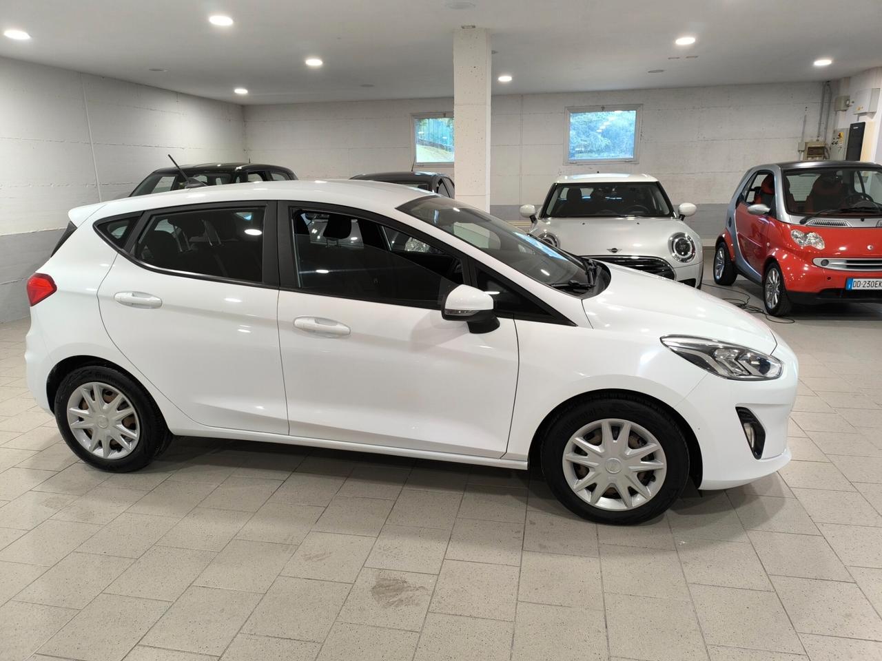 Ford Fiesta 1.0 Ecoboost Hybrid 125 CV 5 porte Business