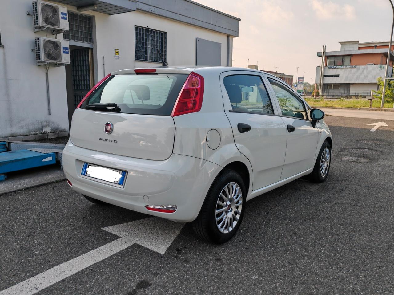 Fiat Punto 1.3 MJT II S&S 95 CV 5 porte Street
