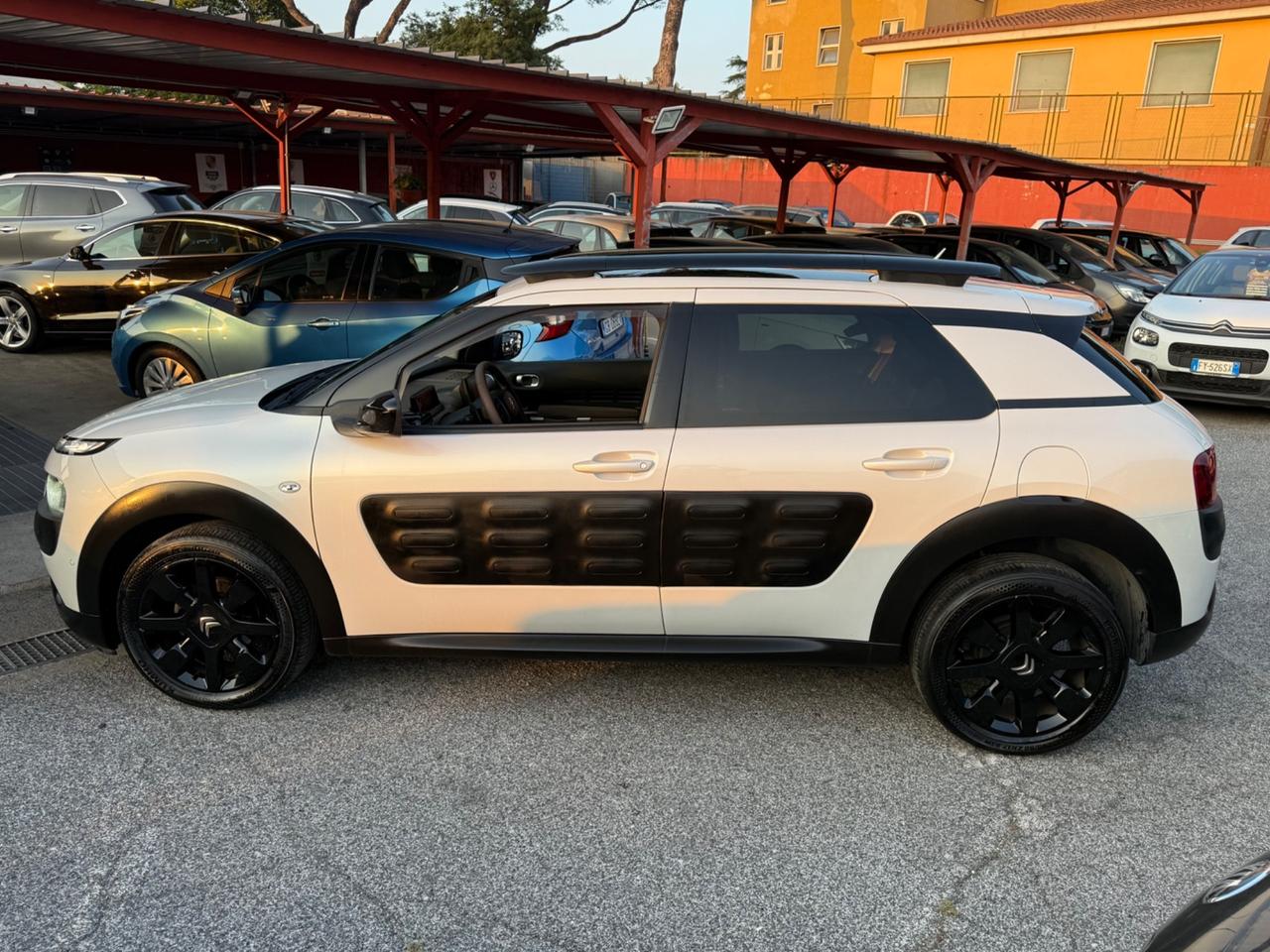 C4 Cactus hdi 100-ETG6 Shine-unipro-perfetta