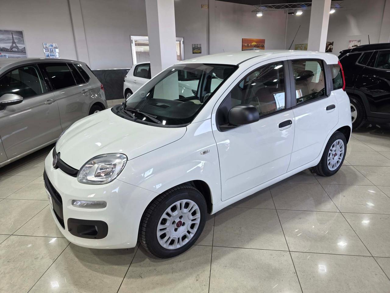 Fiat Panda 1.3 MJT 80 CV S&S Lounge