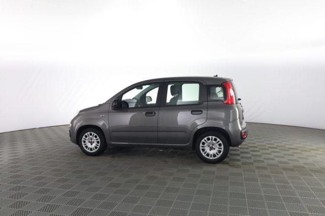 FIAT Panda Panda 1.0 FireFly 70cv S&S Hybrid E6d-Final EASY