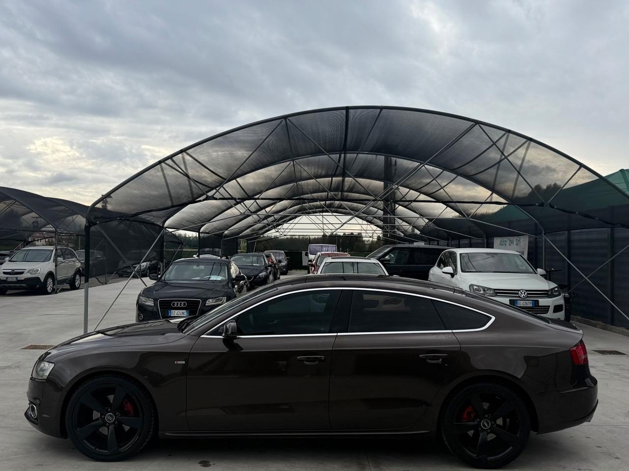 Audi A5 SPB 2.0 TDI F.AP. quattro Advanced