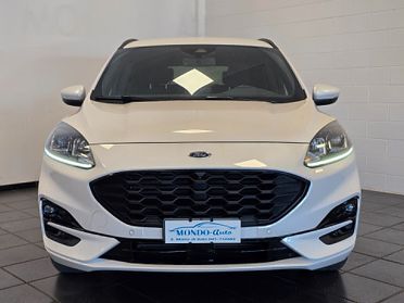 Ford Kuga 1.5 EcoBlue 120 CV aut. 2WD ST-Line X 2020
