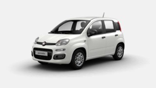 FIAT Panda 1.0 FireFly S&S Hybrid Icon - VARI COLORI!