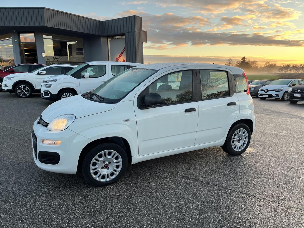 FIAT PANDA EASY 1200 CC 69 CV