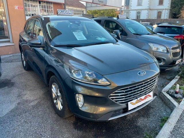 Ford Kuga 2.0 EcoBlue Hybrid 150 CV 2WD Titanium Business