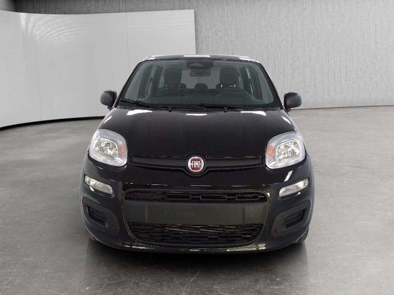 FIAT Pandina 1.0 firefly hybrid Icon s&s 70cv 5p.ti