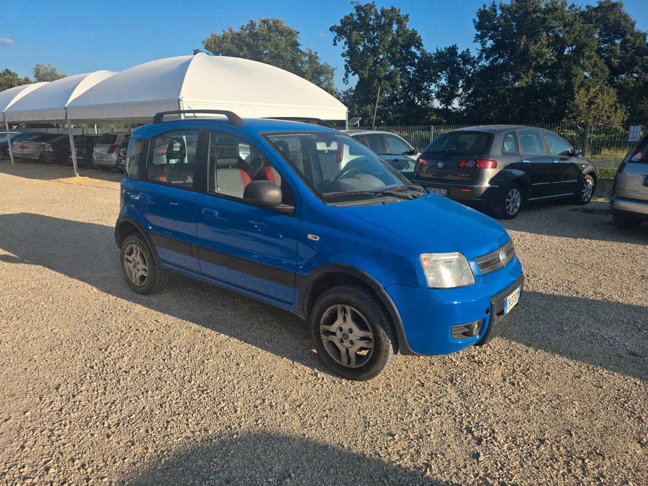 Fiat Panda 1.2 benzina 4x4 cv 60