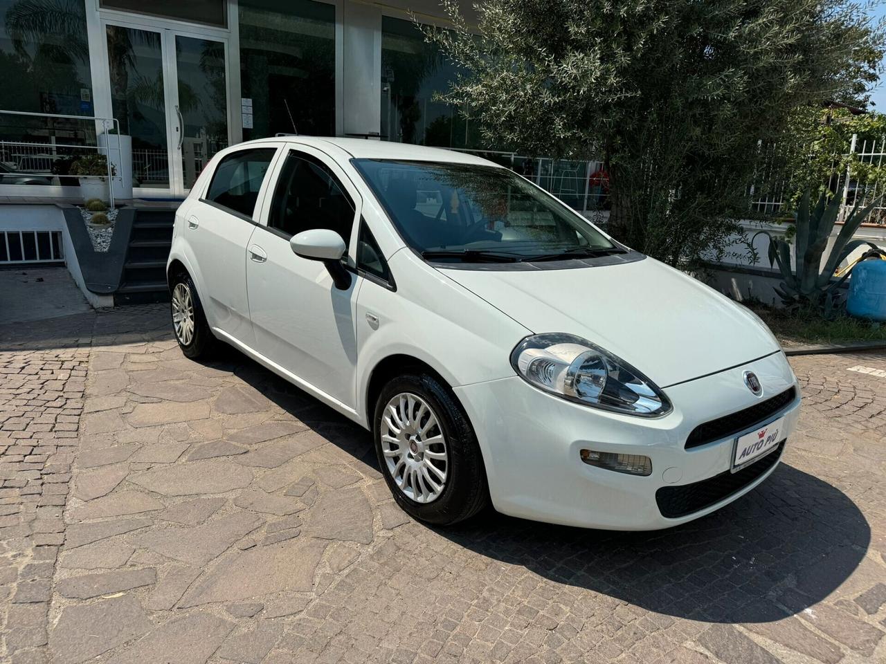 Fiat Punto 1.3 MJT II S&S 95 CV 5 porte Street