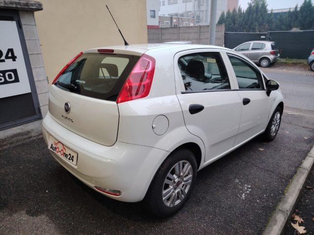 FIAT Punto 1.2 8V 5 porte Street NEOPATENTATI