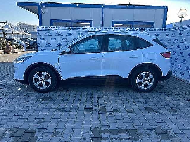 Ford Kuga 1.5 EcoBlue 120 CV 2WD Titanium Business