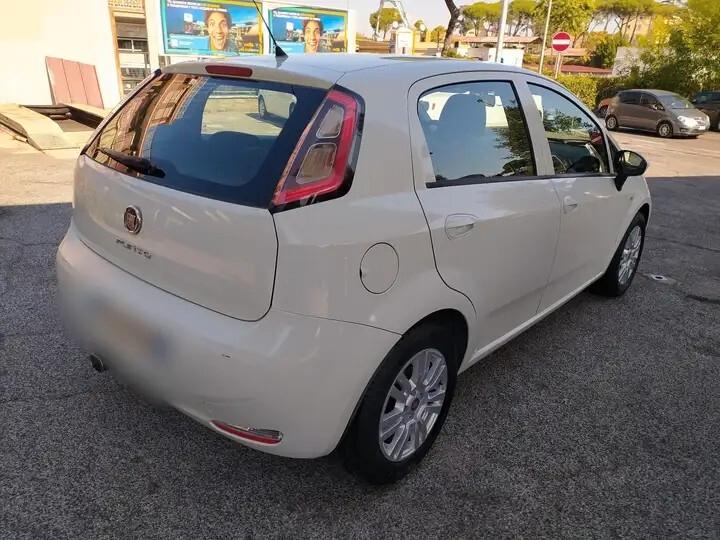 Fiat Punto 1.3 MJT II 75 CV 5 porte Street