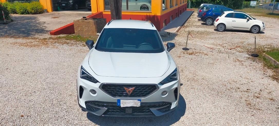Cupra Formentor 2.0 TDI 4Drive DSG