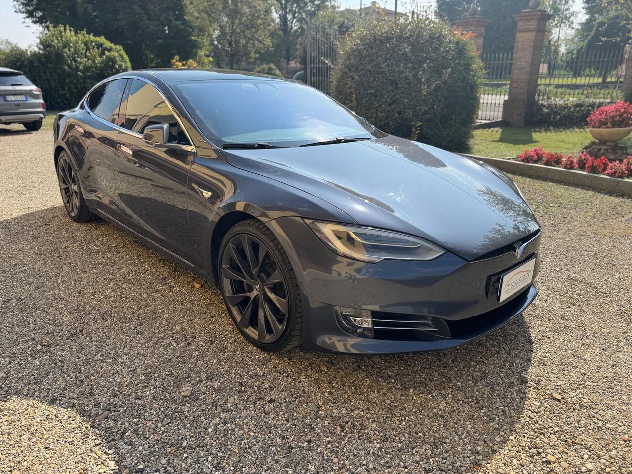 Tesla Model S Long Range Plus #7245