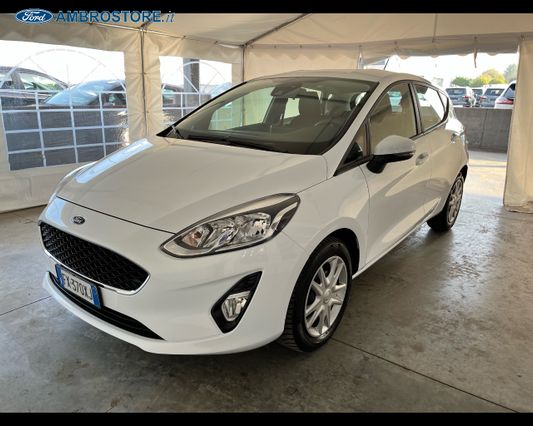 FORD Altri modelli Fiesta 5p 1.1 Plus Gpl 75cv