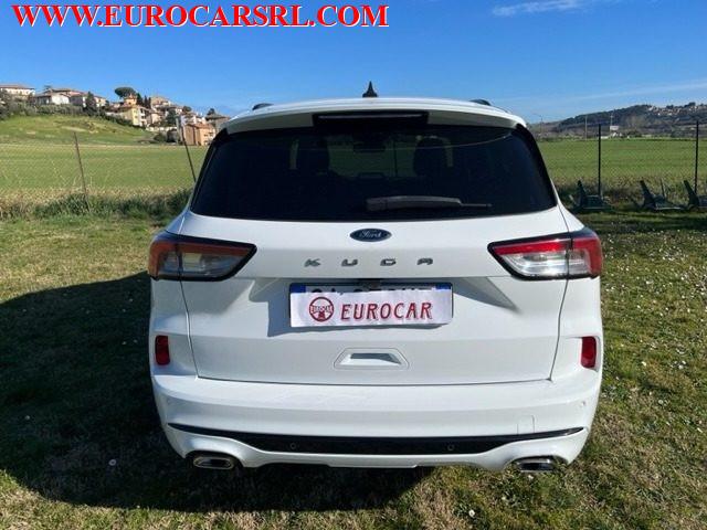 FORD Kuga 1.5 EcoBlue 120 CV 2WD ST-Line