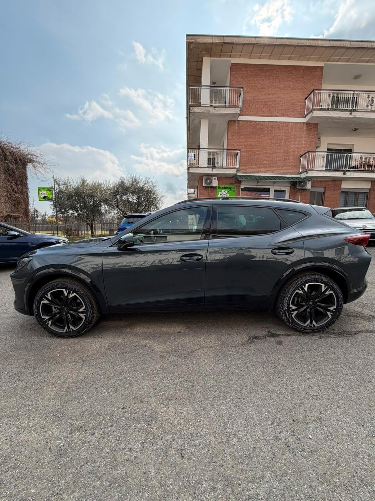 Cupra Formentor 2.0 TDI DSG
