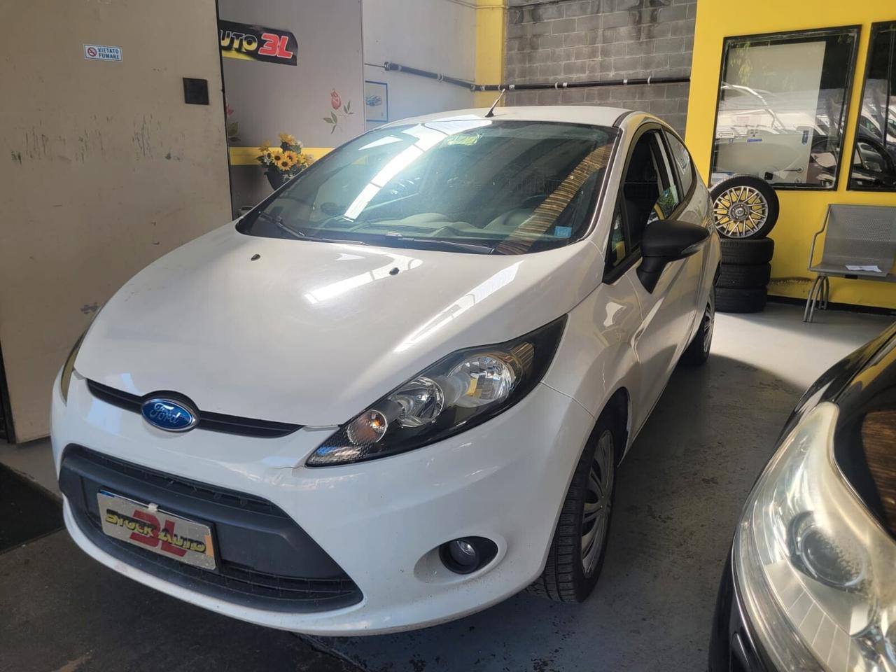 Ford Fiesta 1.4 TDCi 68CV 3 porte Van