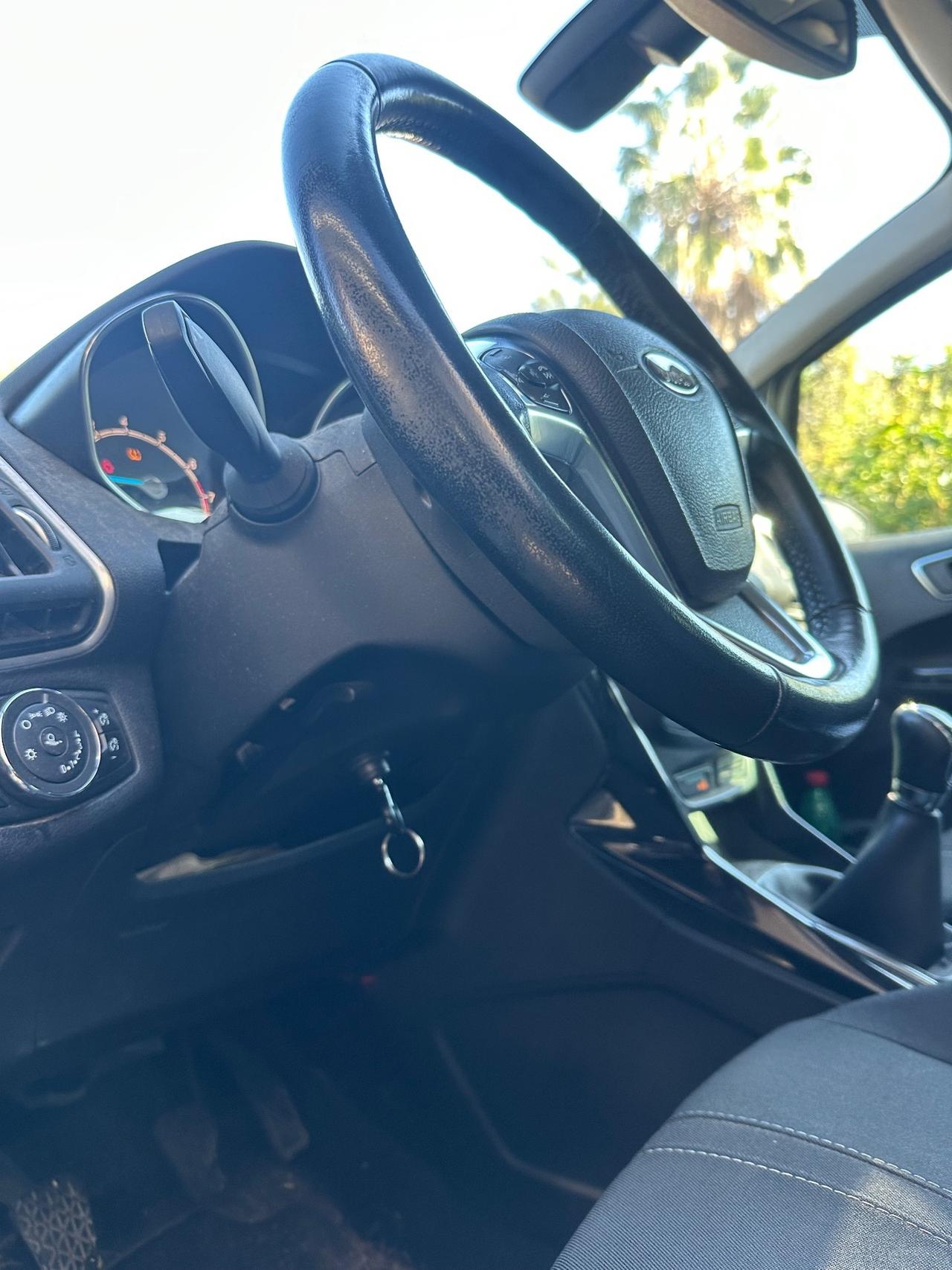 Ford B-Max 1.4 90 CV GPL Titanium PROBLEMI AL MOTORE