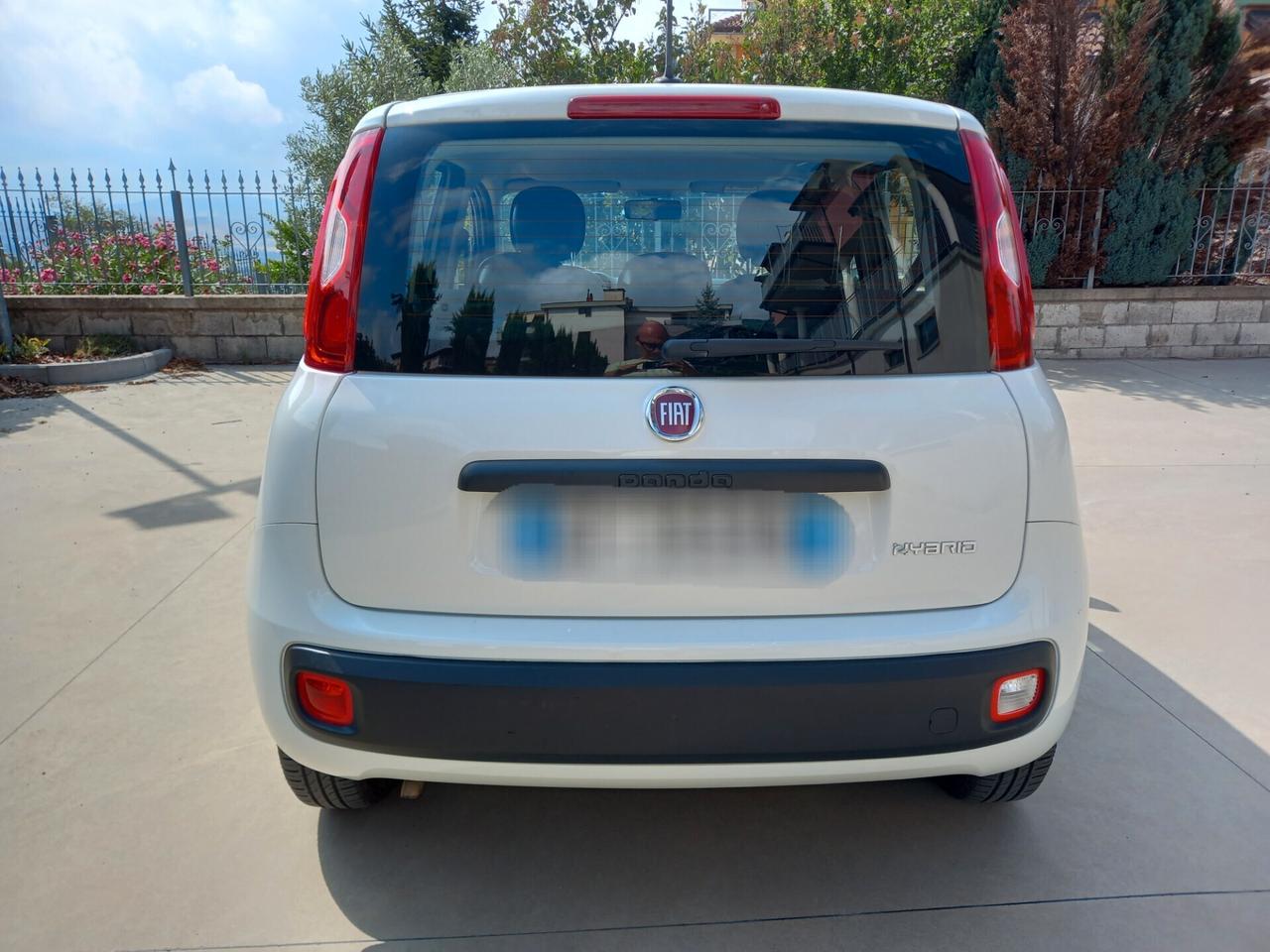 Fiat Panda BENZINA 5 POSTI 2021