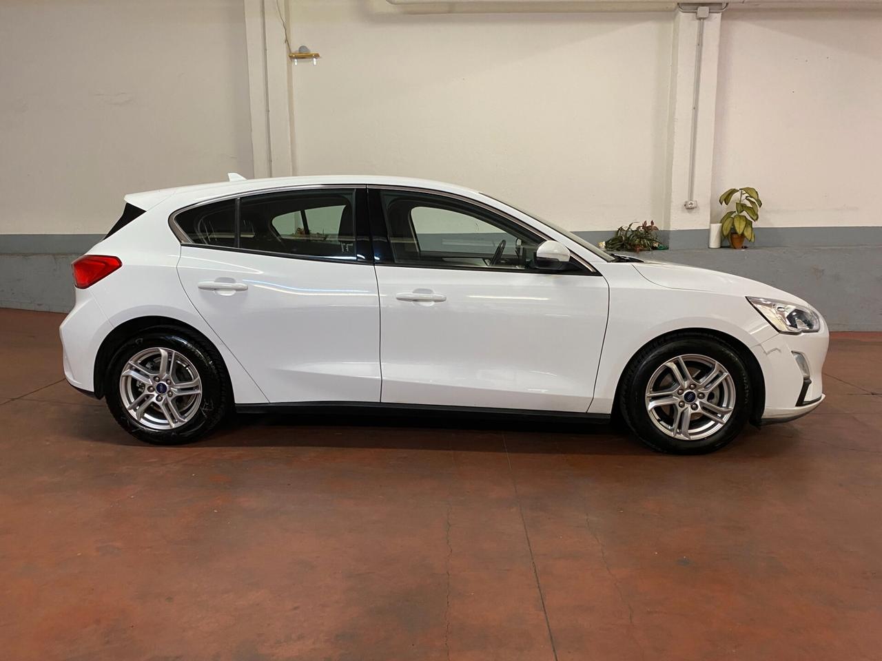 Ford Focus 1.5 EcoBlue 120 CV 5p. Business