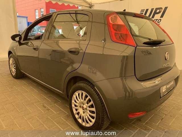 Fiat Punto Fiat Punto Adatta ai neo Patentati