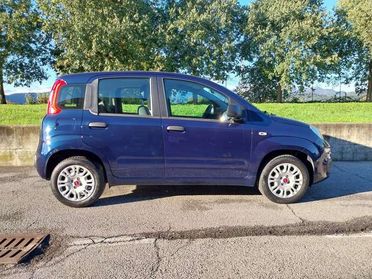 Fiat Panda Panda 1.2 Easy s