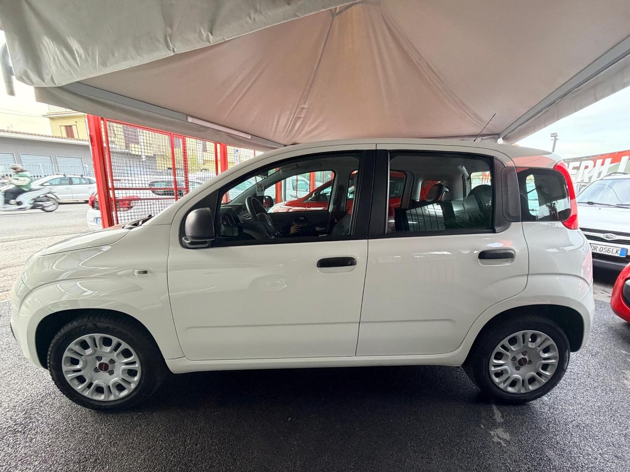 Fiat Panda 1.2 Benzina 2017