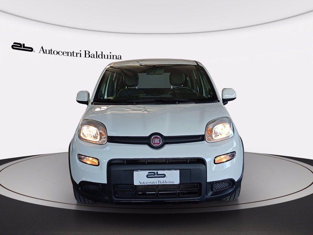 FIAT Panda 1.0 firefly hybrid sport s&s 70cv del 2022