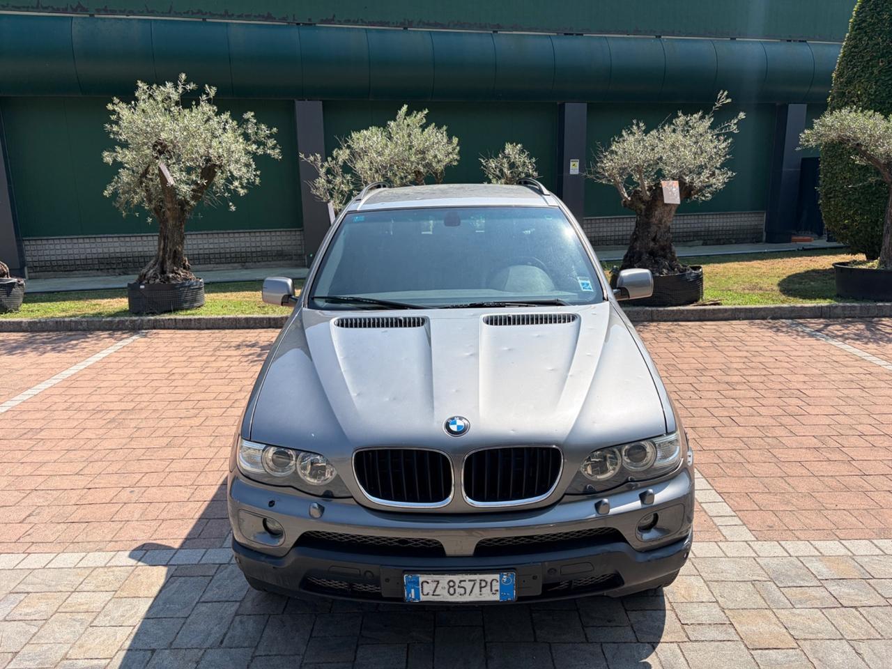Bmw X5 3.0d cat