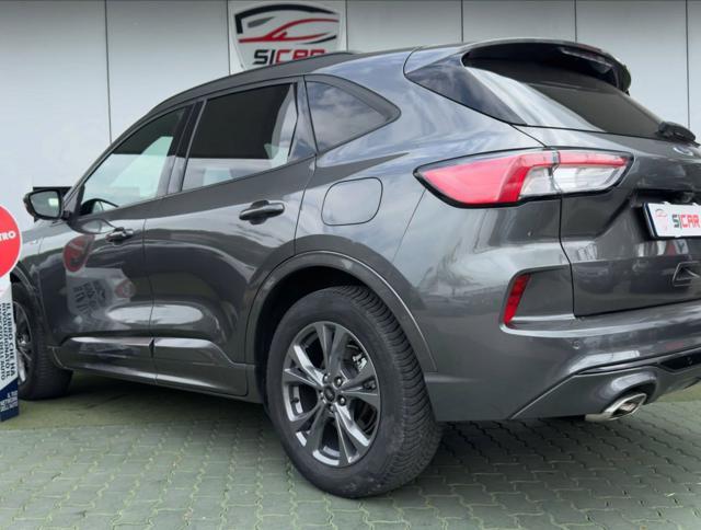 FORD Kuga 1.5 EcoBlue 120 CV aut. 2WD ST-Line X